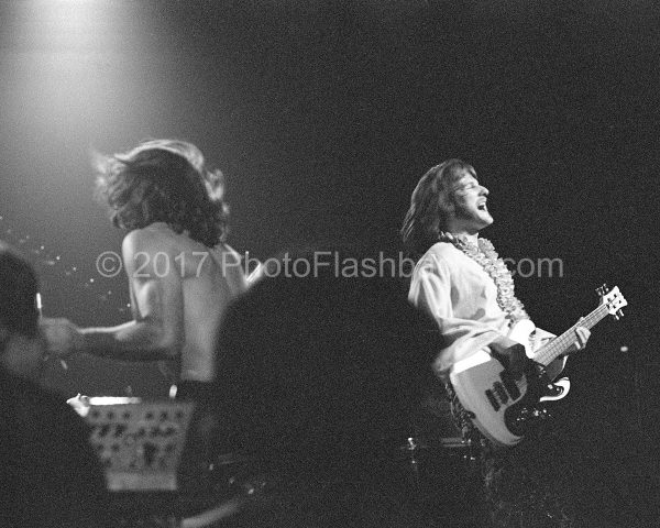 Iron Butterfly 49-36_cl